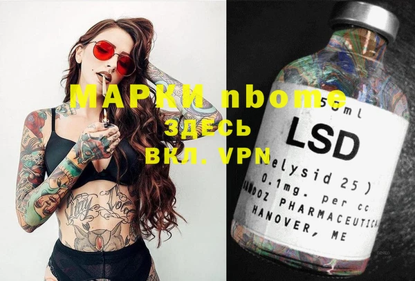 шишки Белокуриха