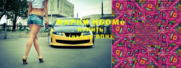 шишки Белокуриха