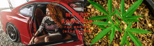 шишки Белокуриха