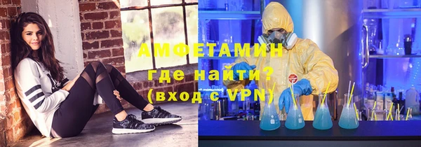шишки Белокуриха