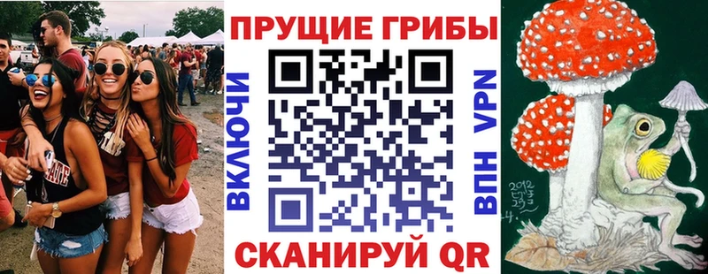 Галлюциногенные грибы прущие грибы  купить  цена  Качканар 