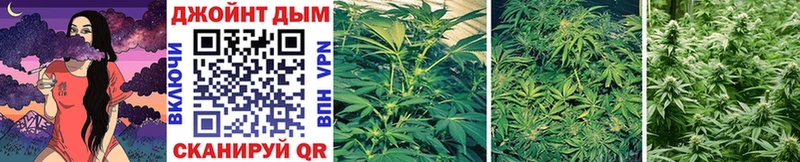 как найти наркотики  Качканар  Марихуана Bruce Banner 